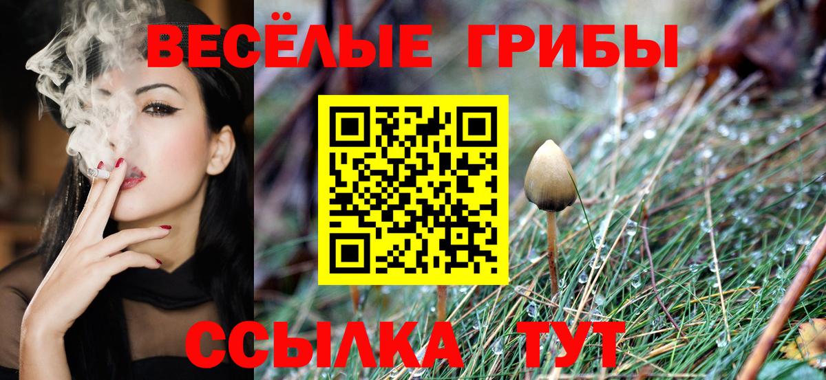 Псилоцибиновые грибы Cubensis  Псилоцибиновые грибы прущие грибы  Вход с VPN  Щёлково 